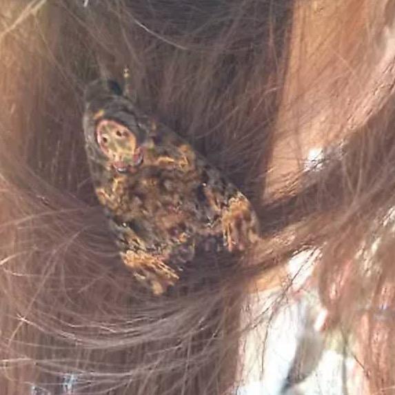 艹🤩一由😖八😱