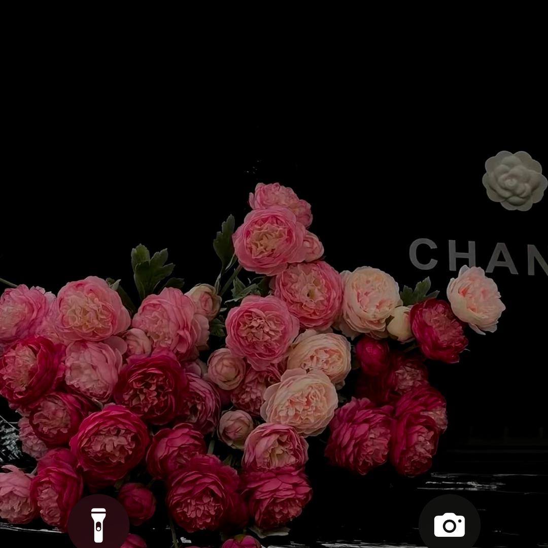 六龙豆干-（麻辣辣椒面）