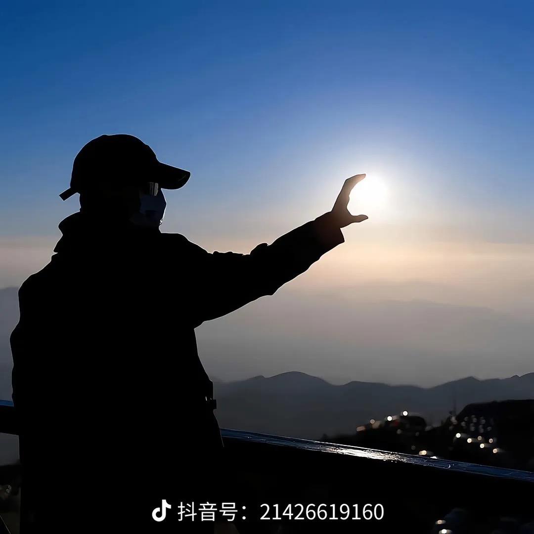 海八