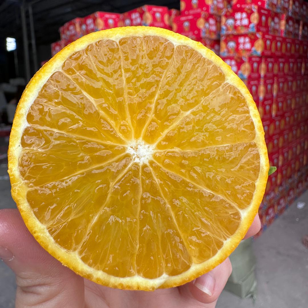 小徐主任助农~爱媛果冻橙