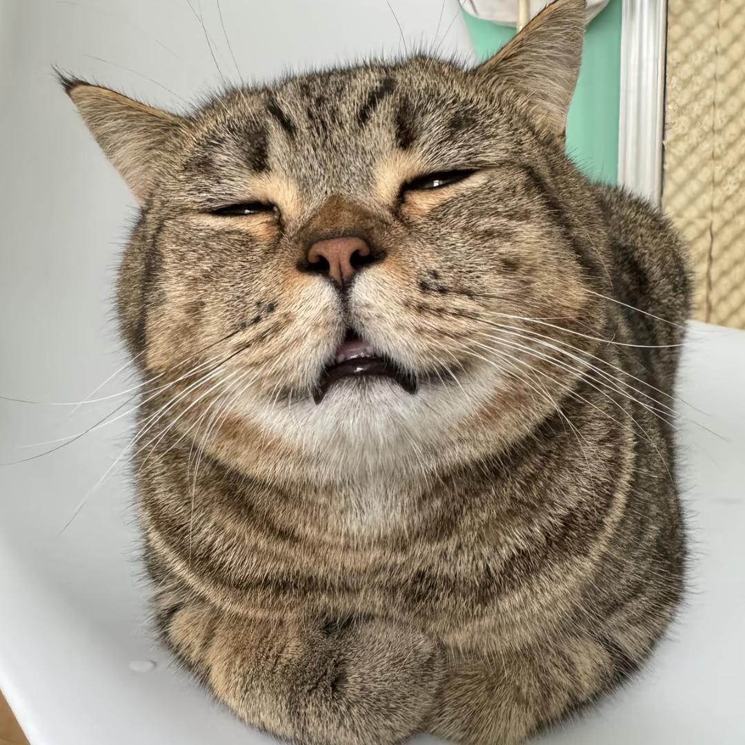 三小只
