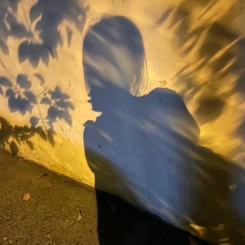 眞
