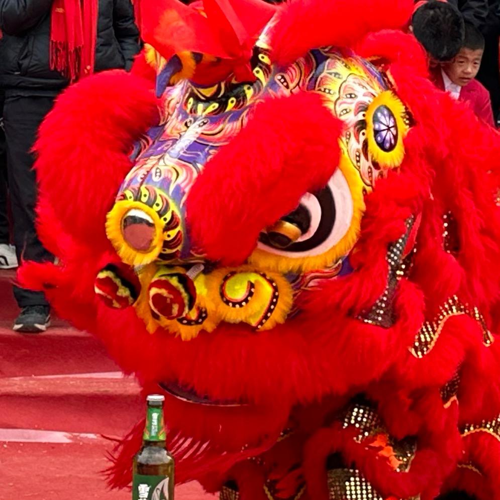 贺州桂嶺（辉顺） 龍狮团🦁~小妹妹