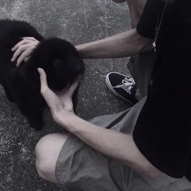 _明