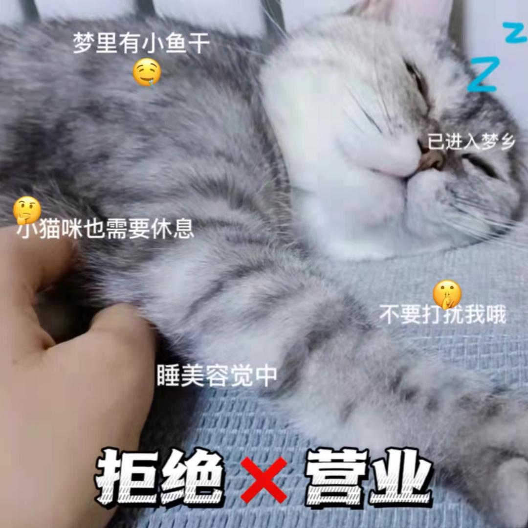 ^_^吴大壮的铲屎官