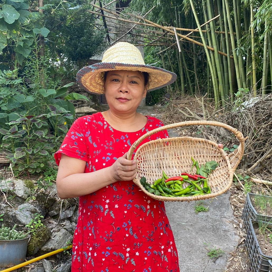 贵州杨孃孃