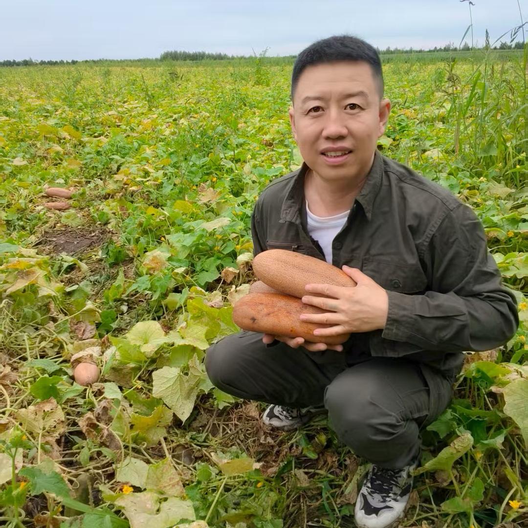 贾大帅家黄瓜籽粉