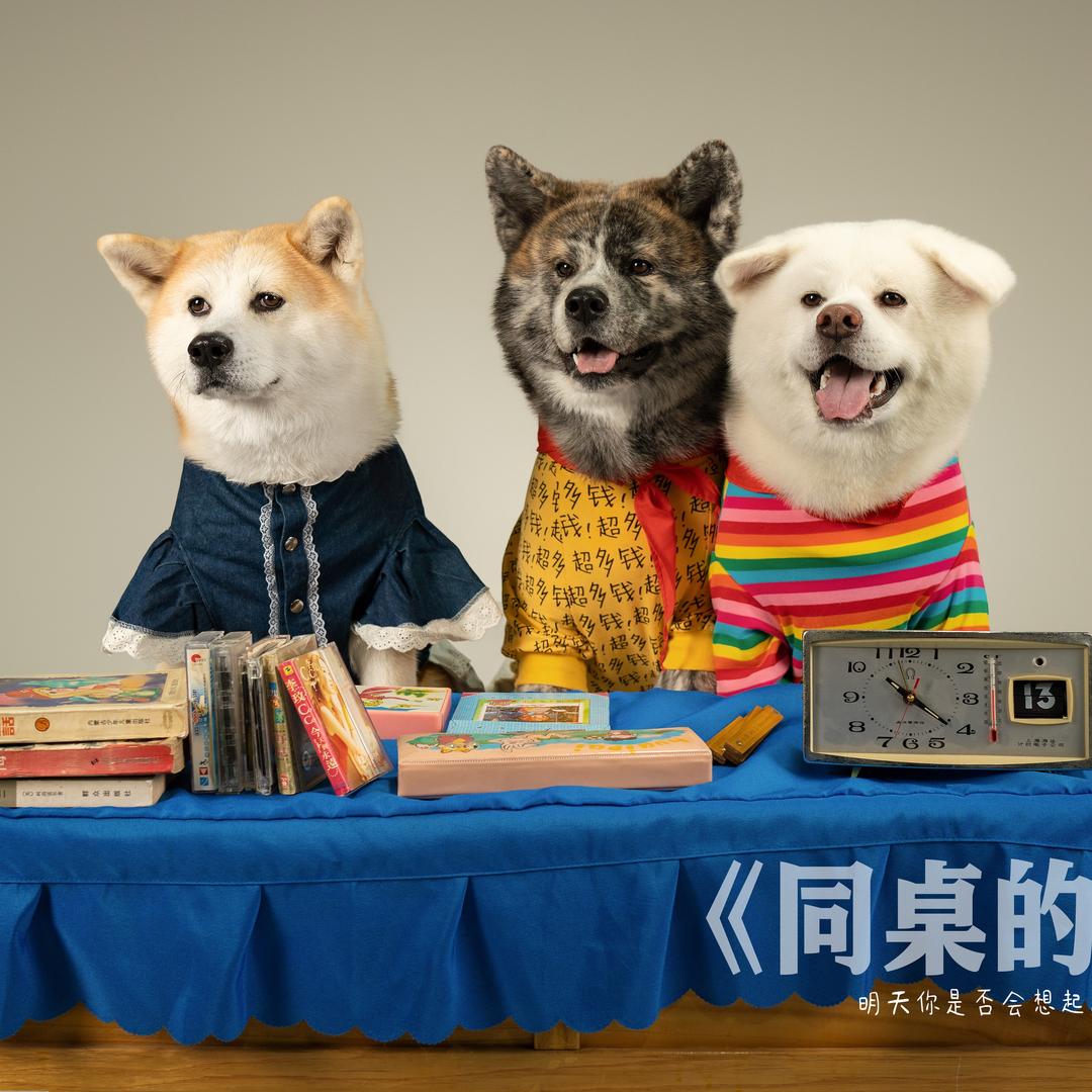 趴趴耳小柒