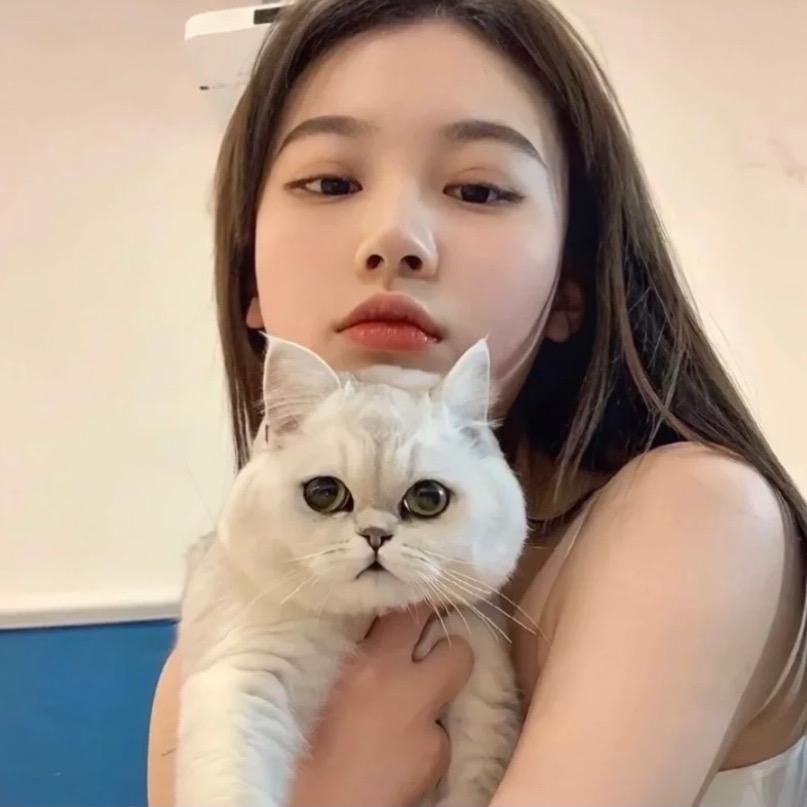 懒羊羊爱吃螺蛳粉（硬装中）