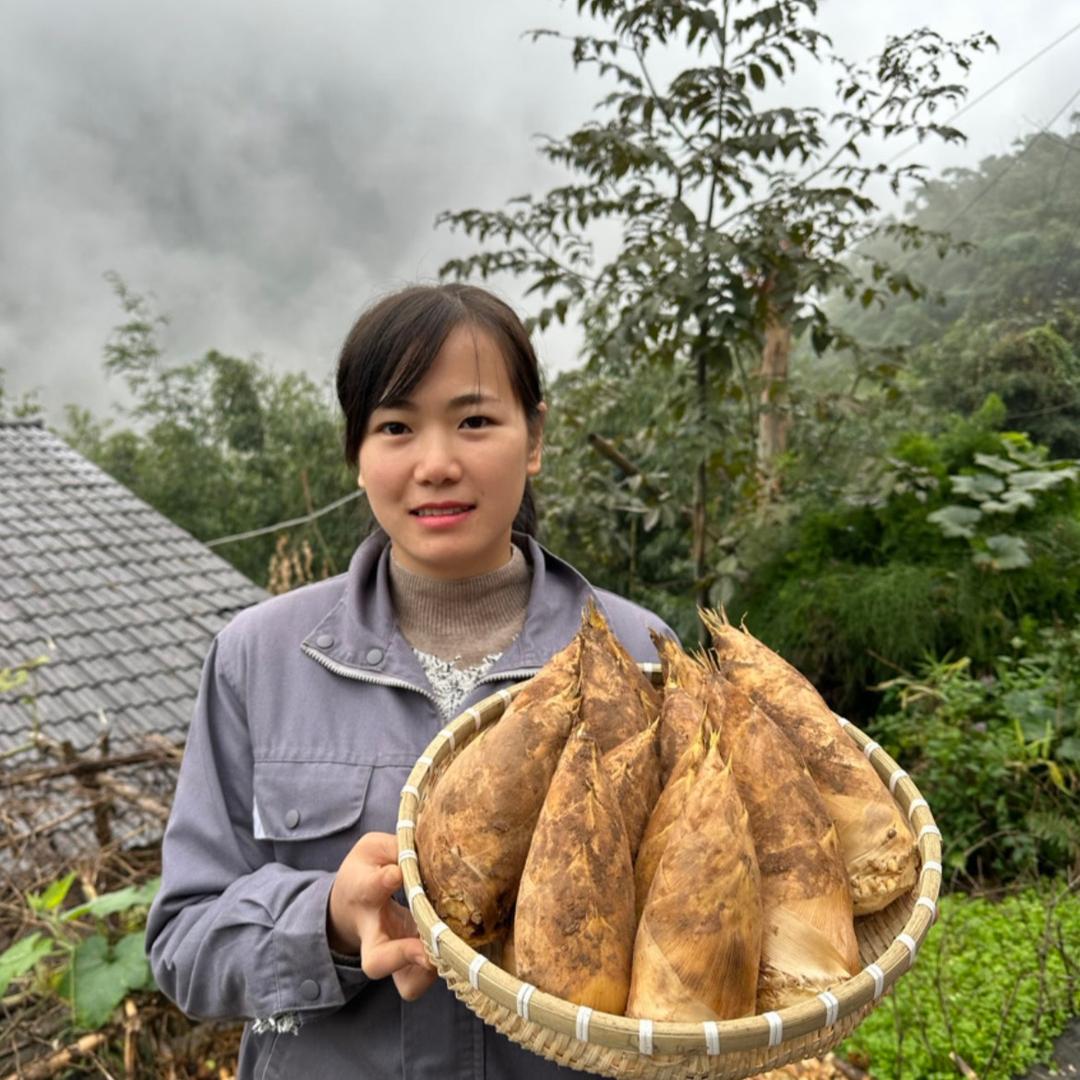 乡村小秋