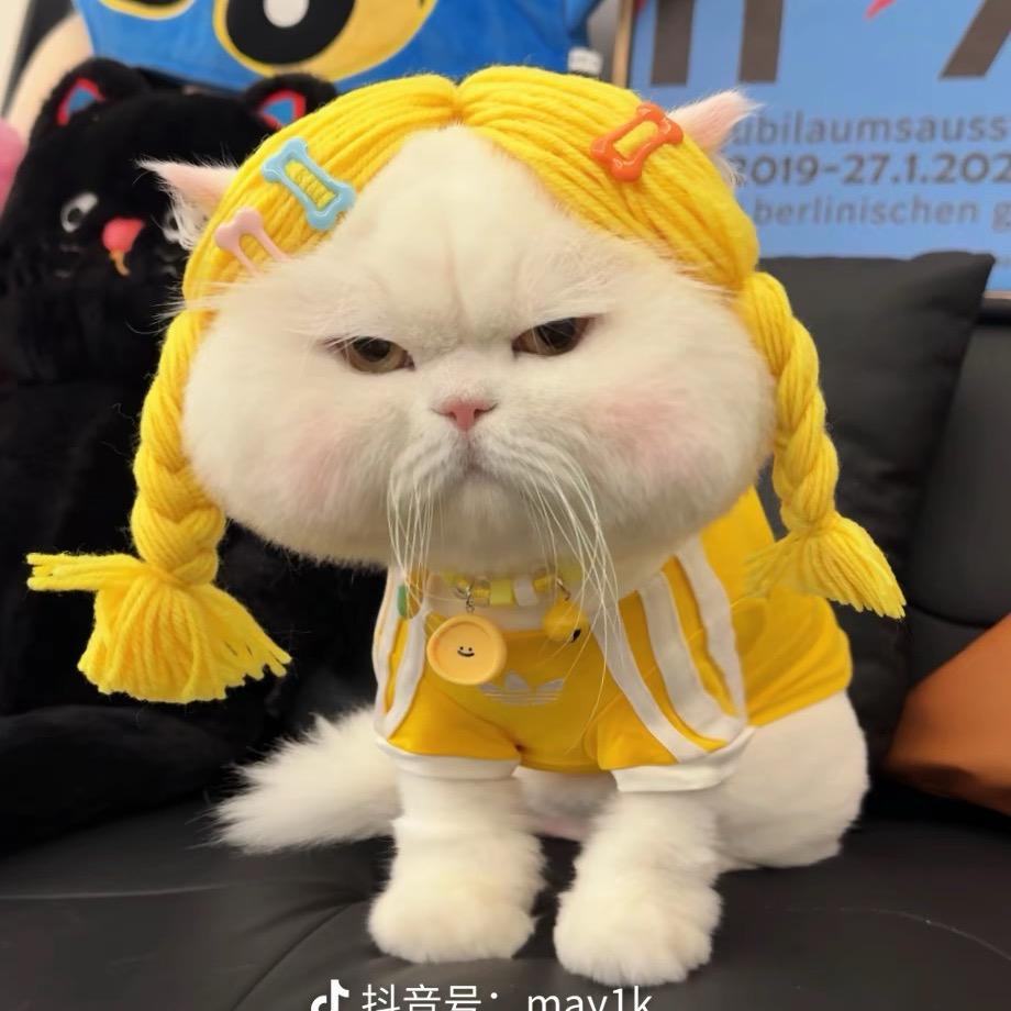再睡亿分钟💤