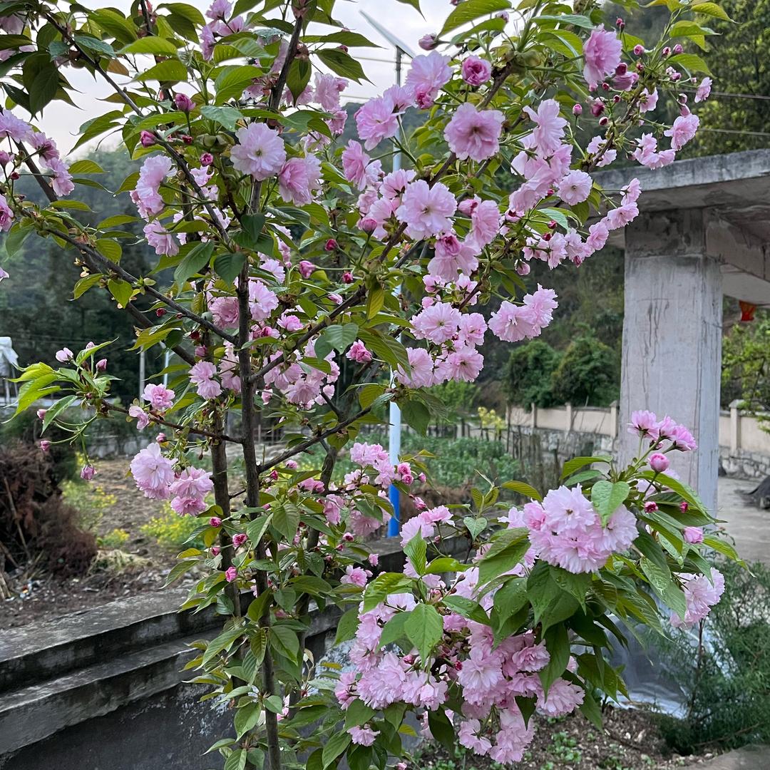 最初是原点