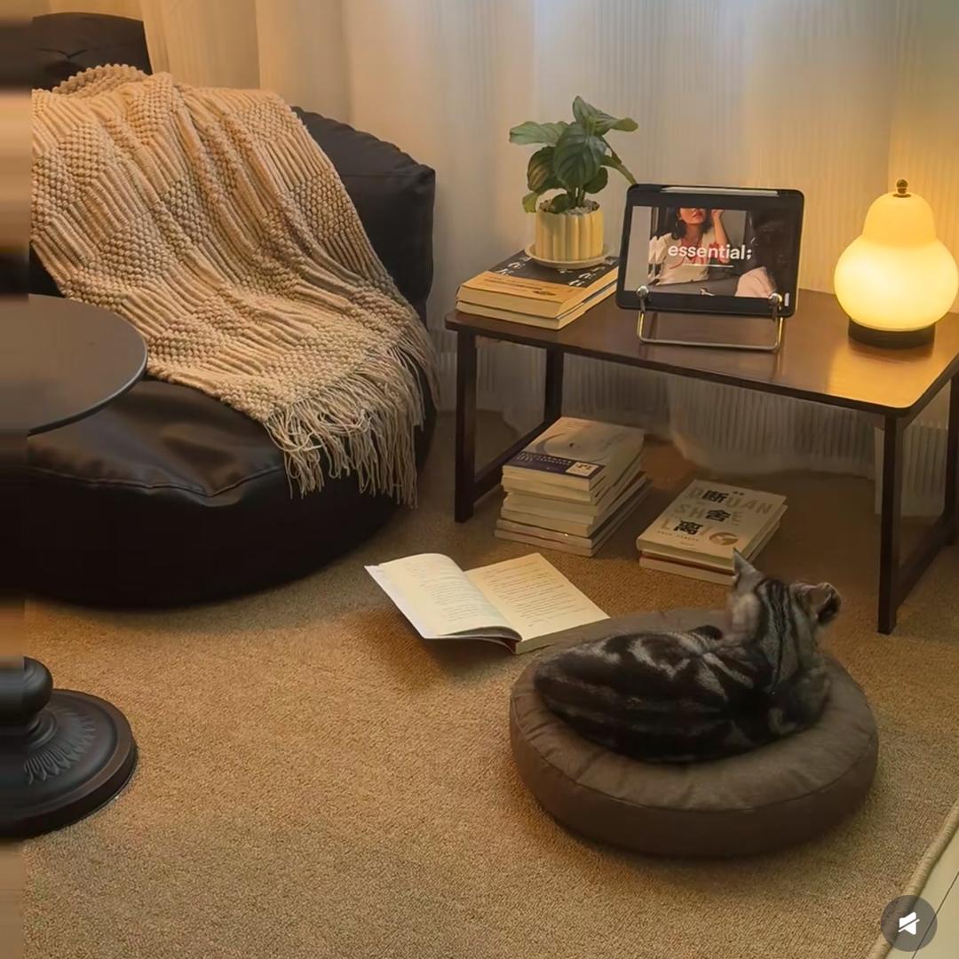 小柒柒柒