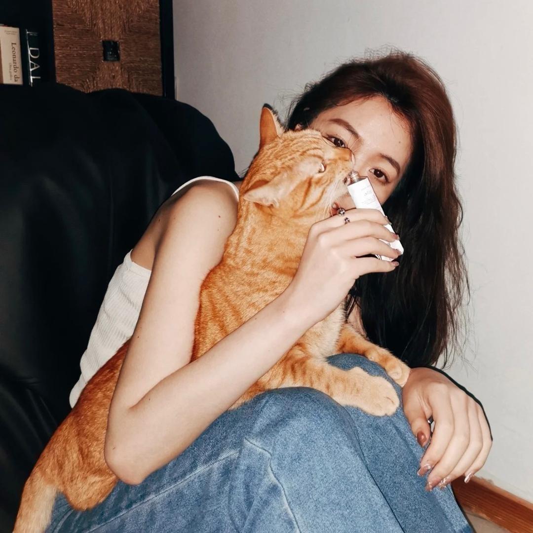 Chestnut Meow