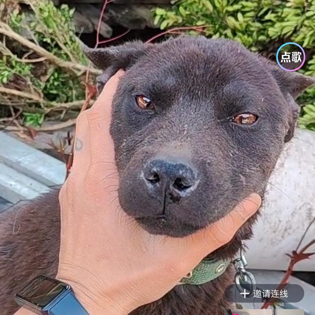 贵州林成森农牧