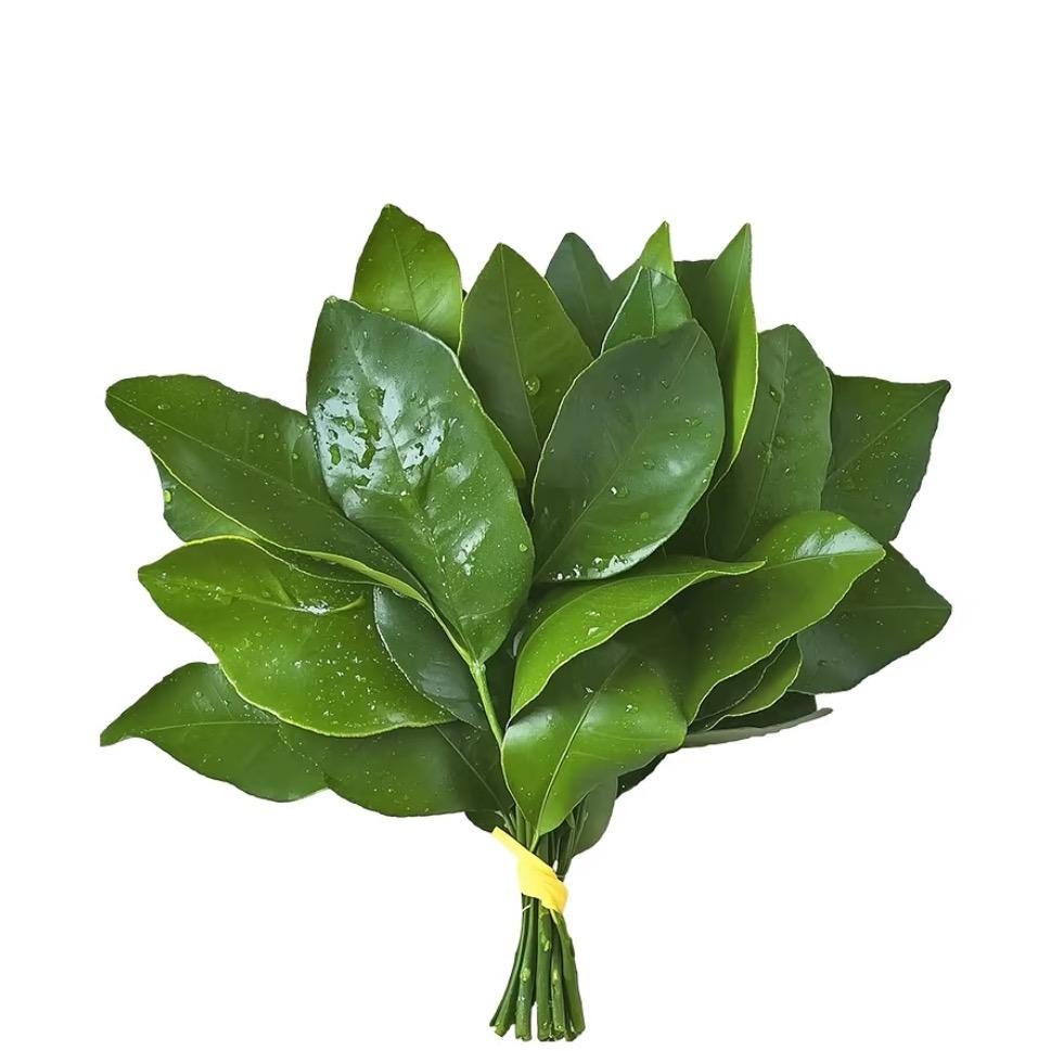 不发脾气只发财