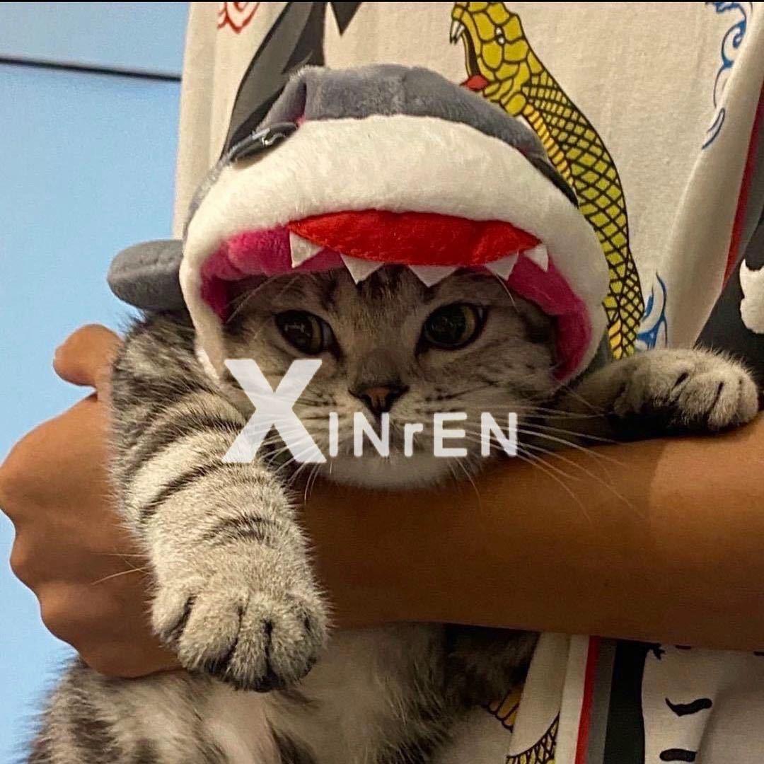 XINrEN