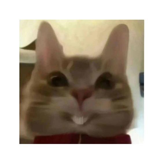 灰太狼...