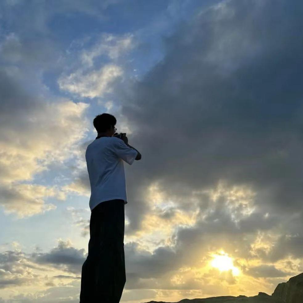海鸥不吃面包