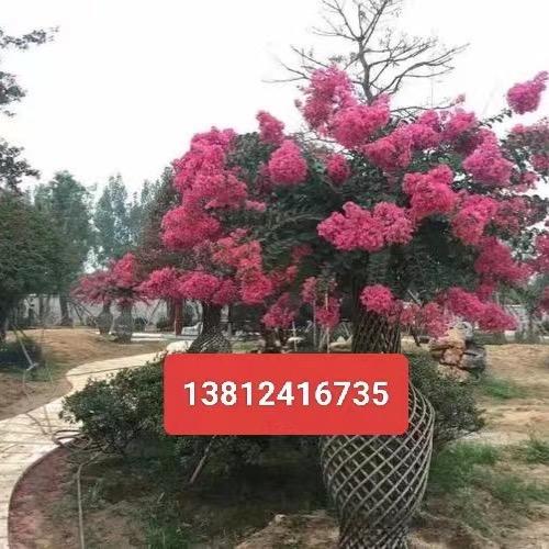 景成园林