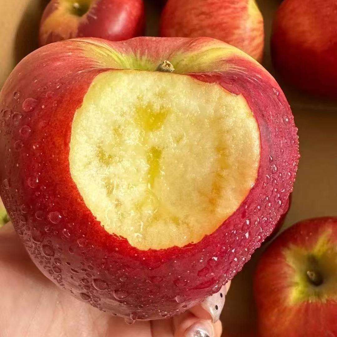 王掌柜产地甄选