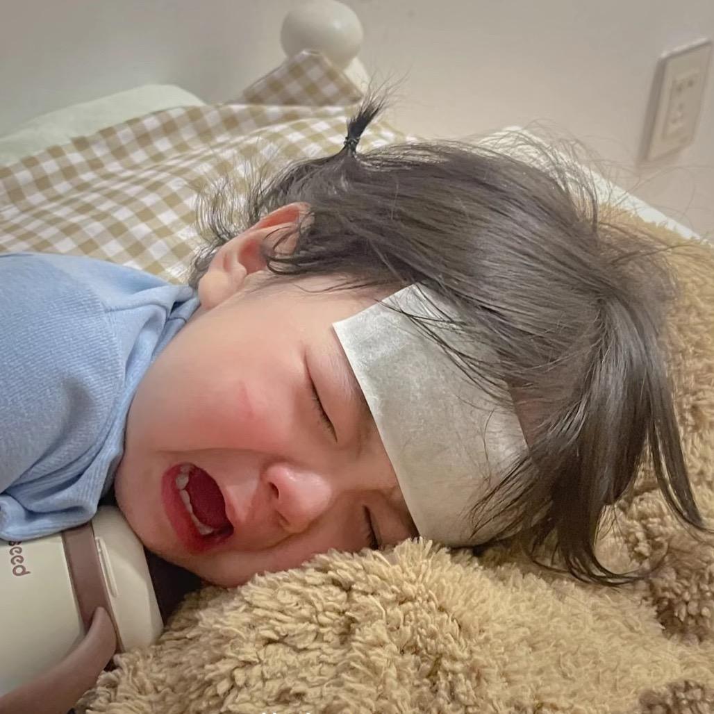 六六睡不醒💤