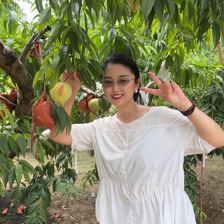 合力捧老大