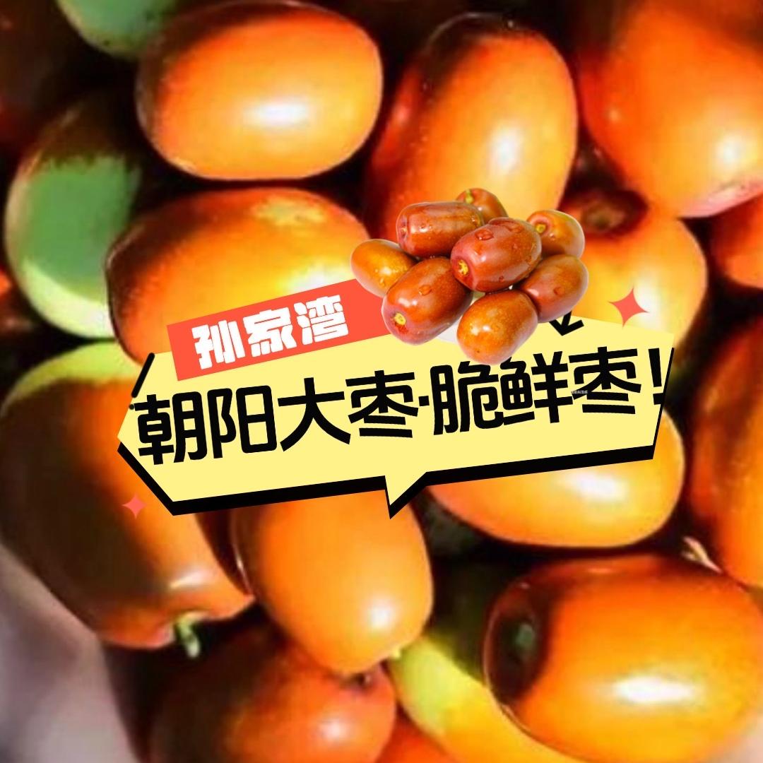 朝阳孙家湾二哥大枣果园