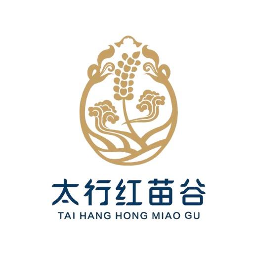 太行红苗谷