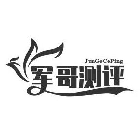 军哥洗地机测评