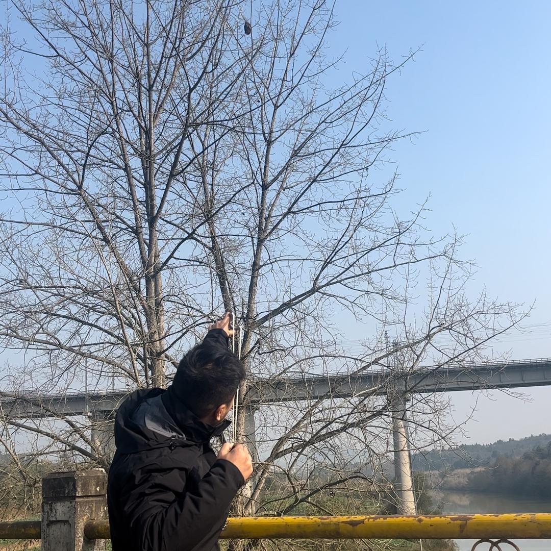 打   弓  仔🏹