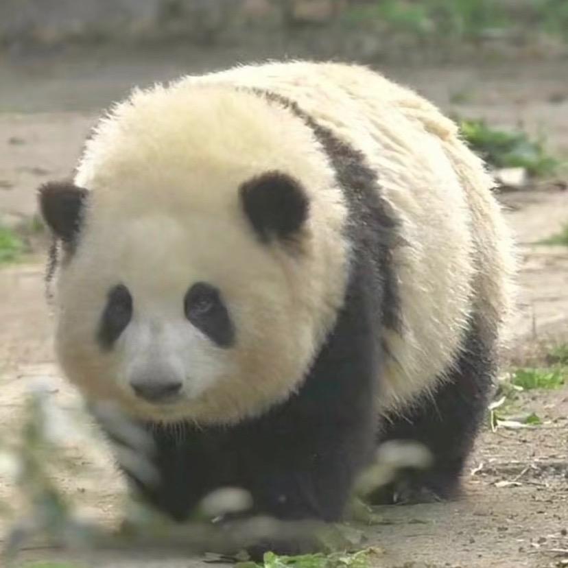 疯狂科普实录