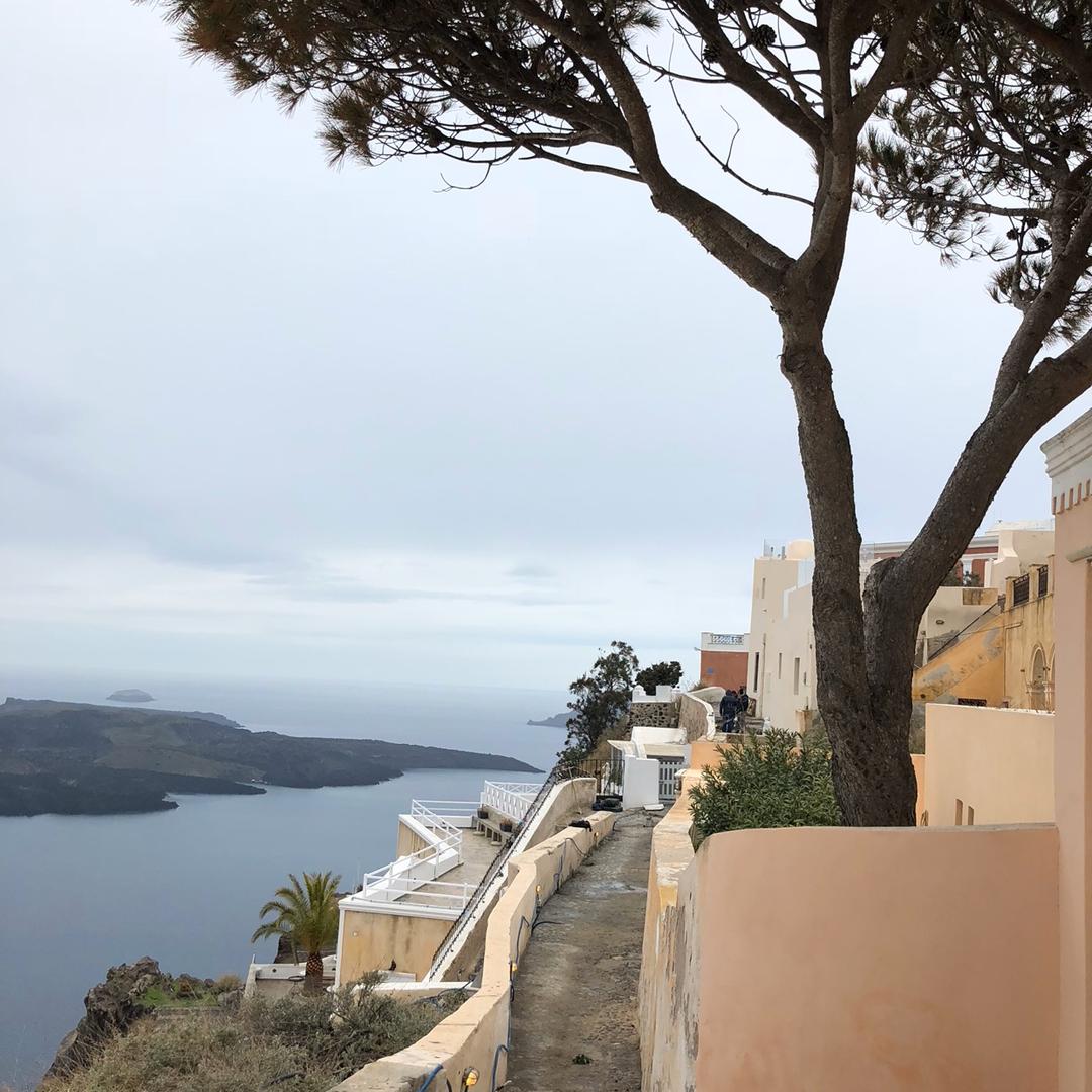 曾哥（手机摄影）