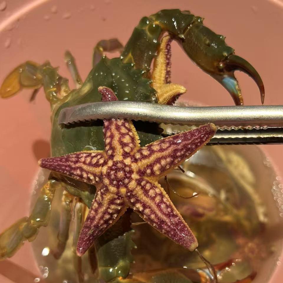 日照徐老三精品民宿