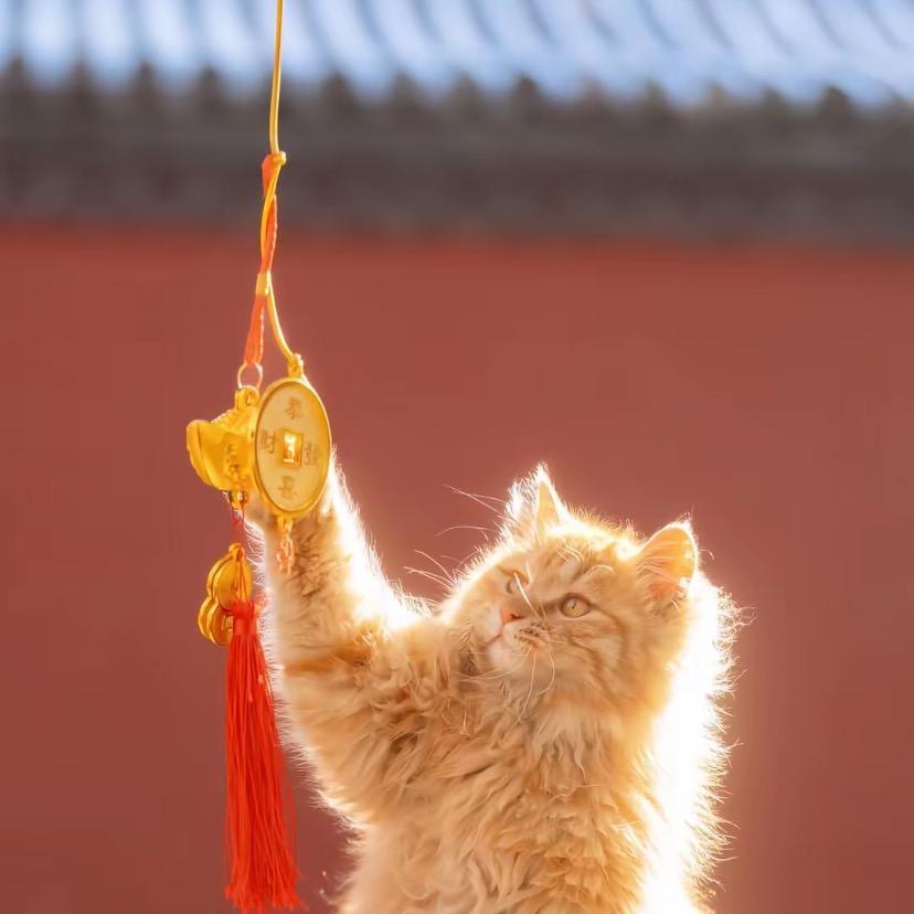 前路满满