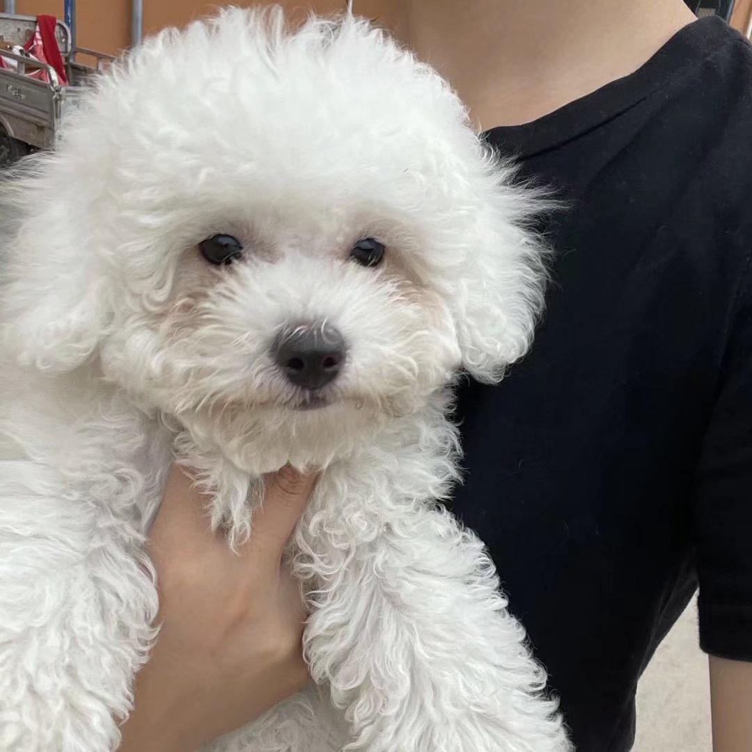 五点起床