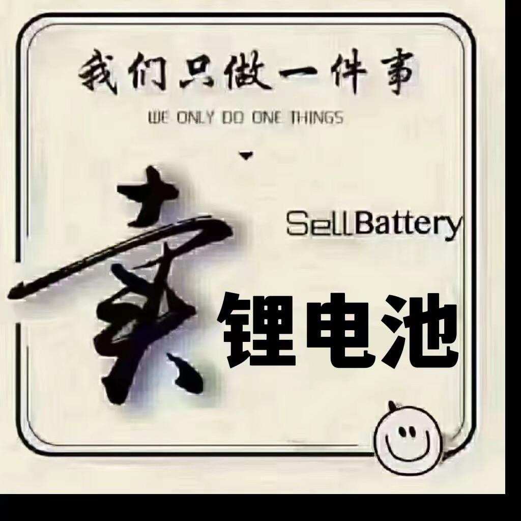 元迪电动车锂电池