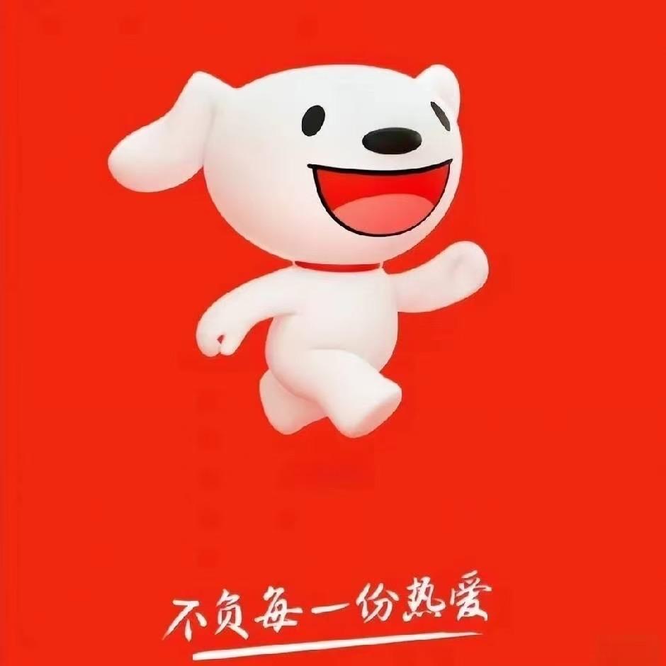 京东电器王城大道店