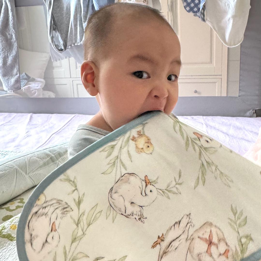 是嘟子哥呀