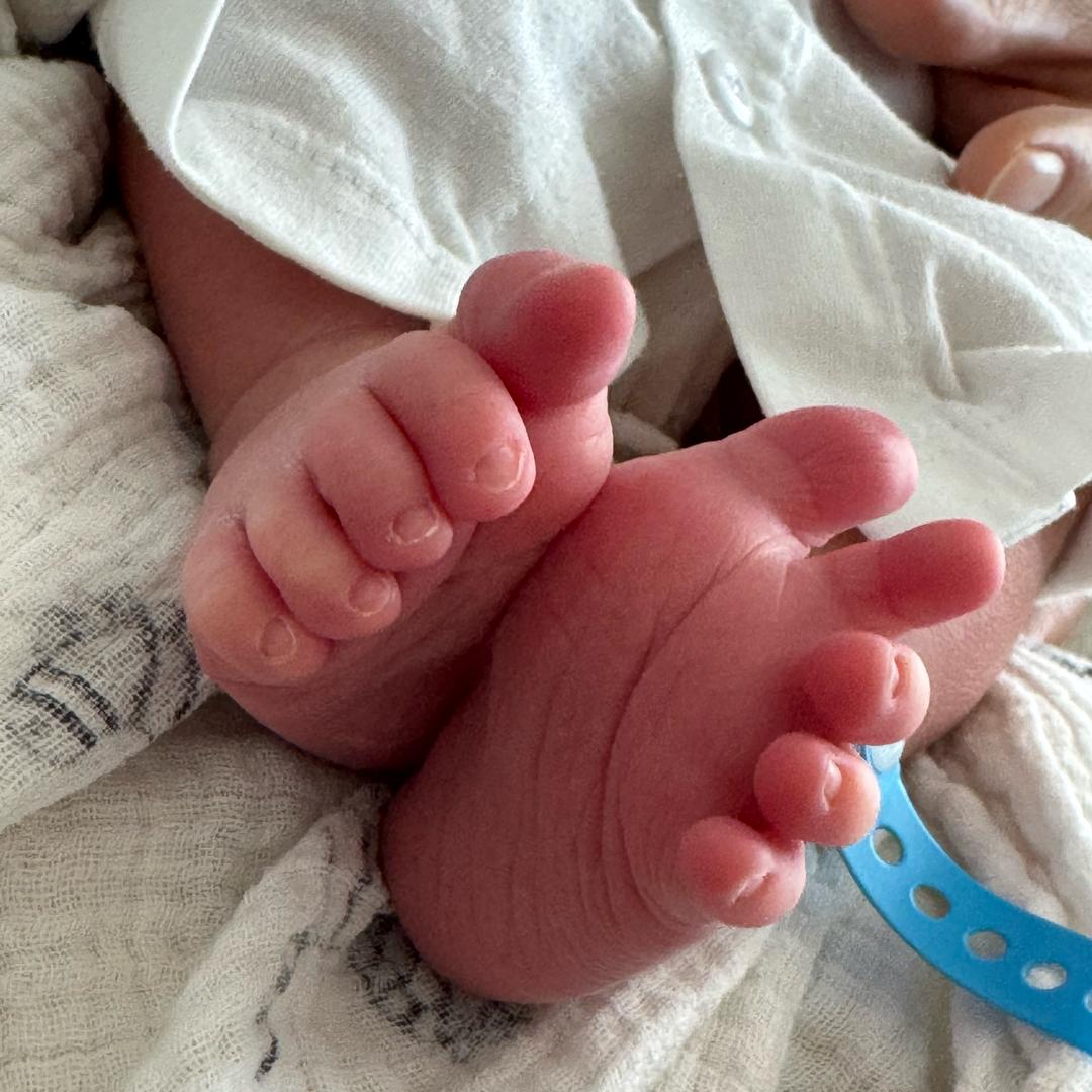 ༒࿈S༙྇o༙྇f༙྇i༙྇a༙྇࿈༒