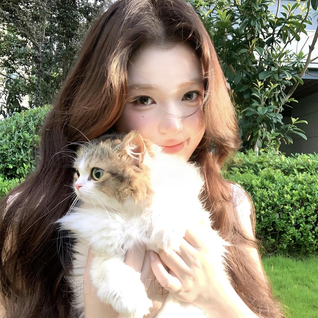 去码头整点薯条💤