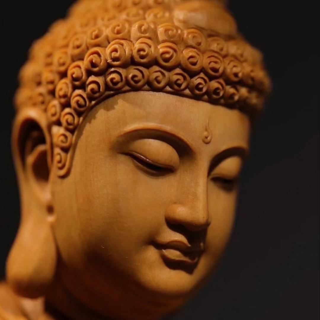 万物并存不相害