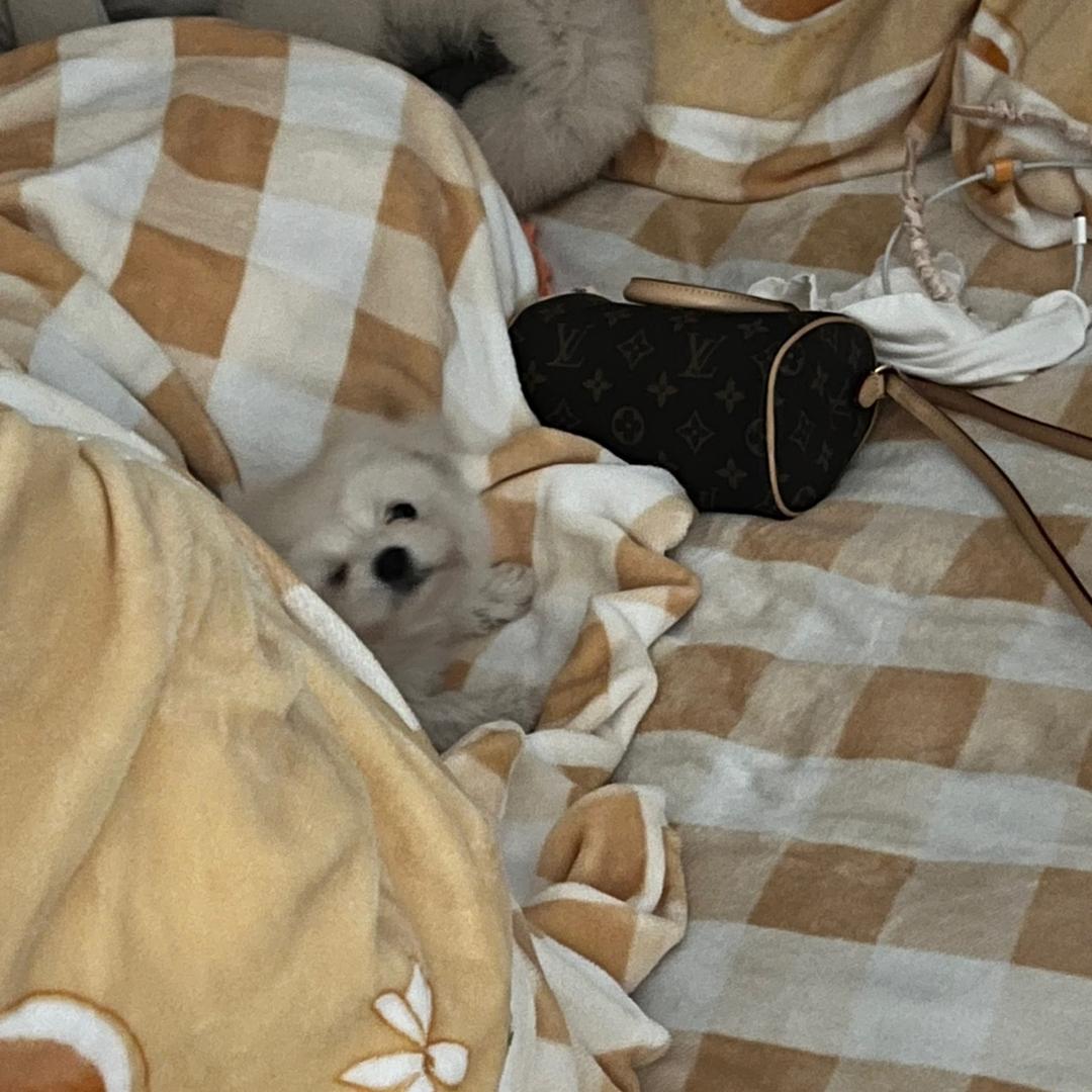 啰嗦（天总啰嗦版）