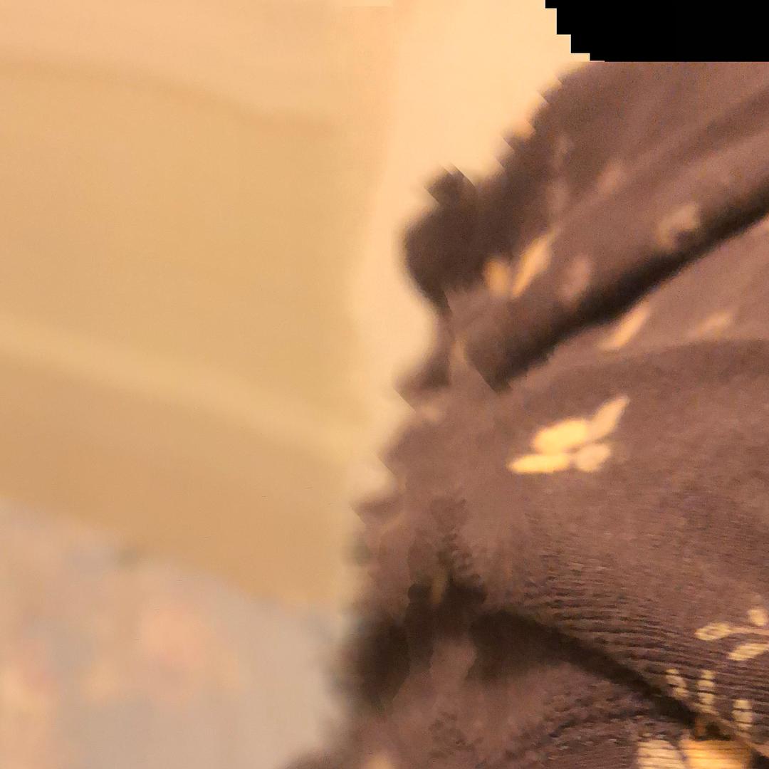 猪儿粑