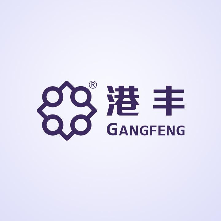 港丰-企业出海解决方案提供商