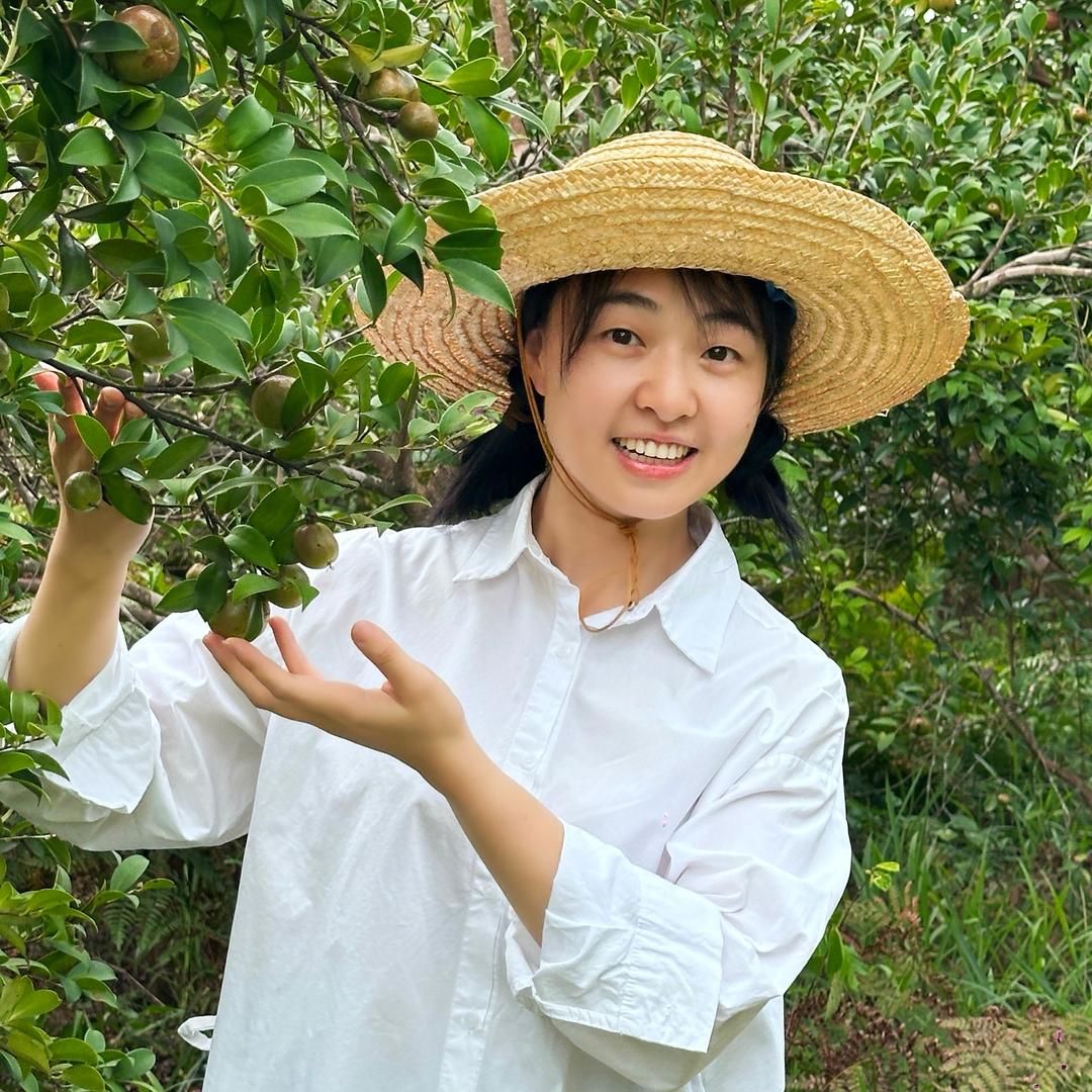 茶油小师妹