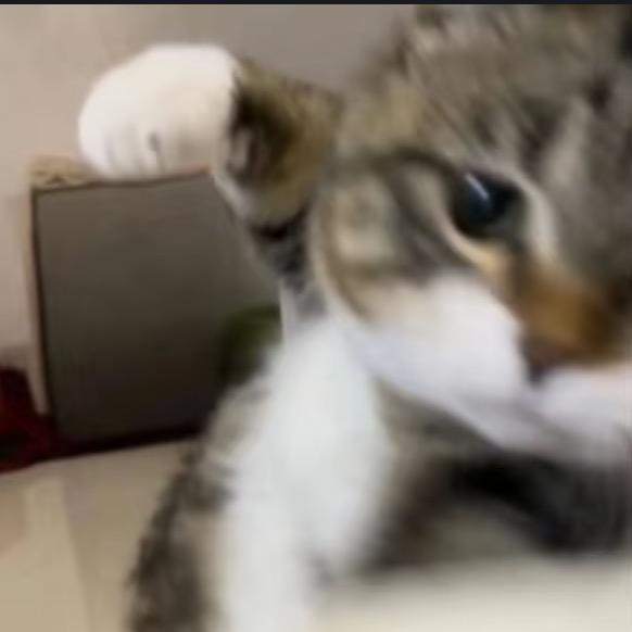 woaiwomi