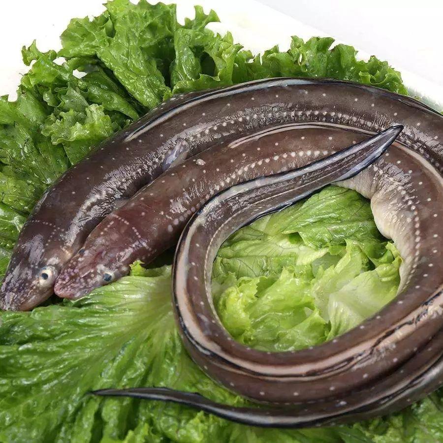 敬先生精品生鲜店