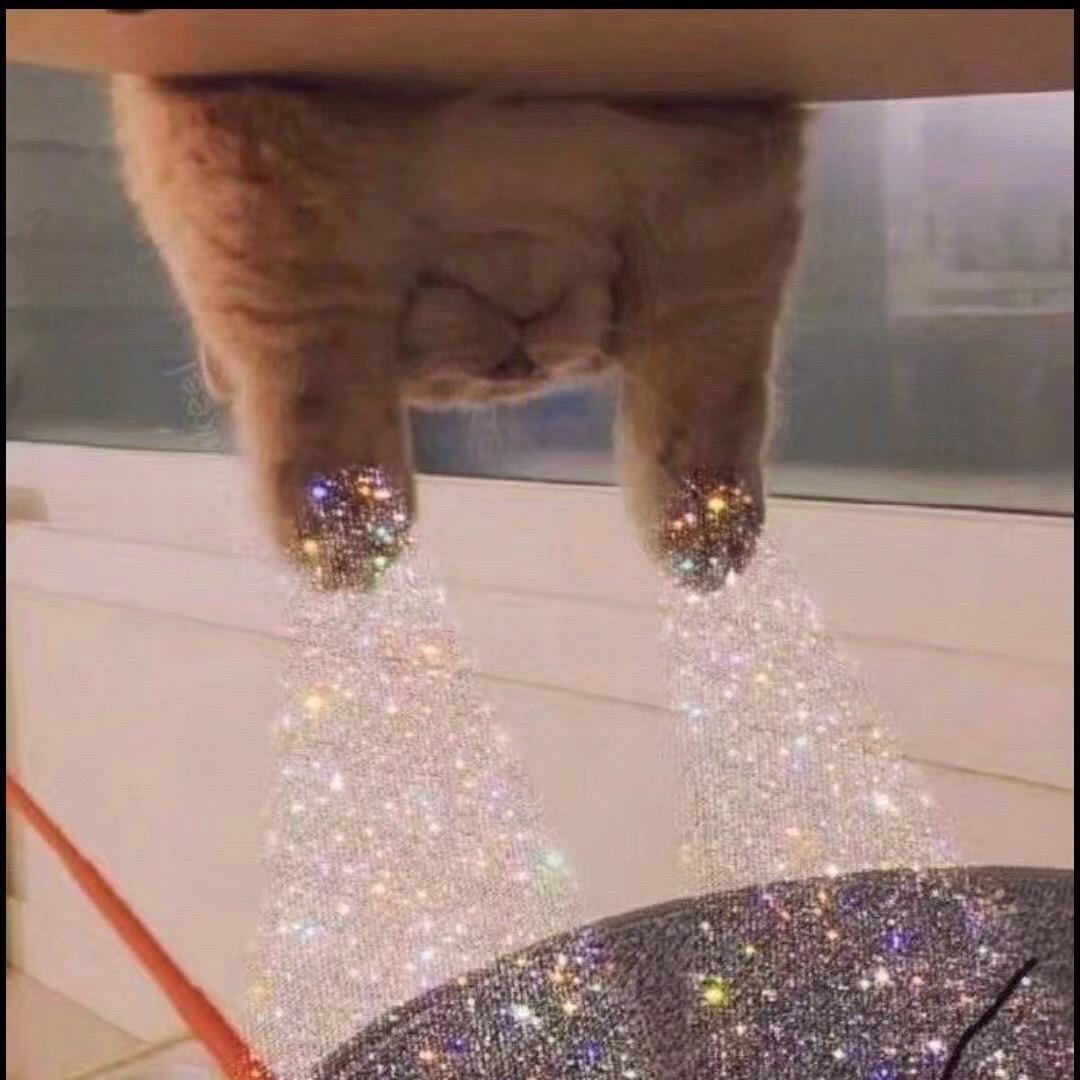 迷途有星光