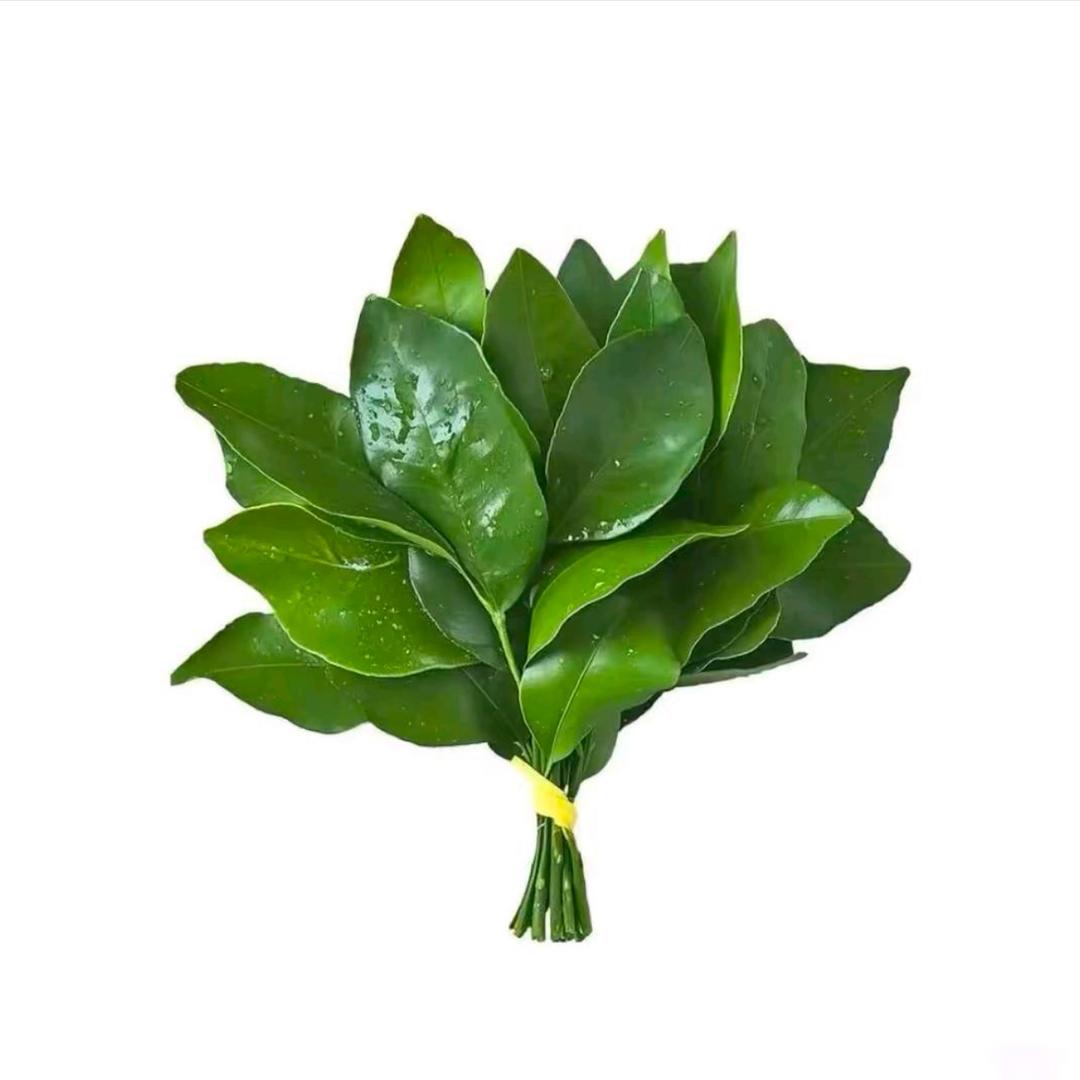 不想起名字了🍊